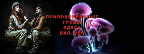 сатива Белоозёрский
