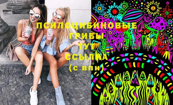 сатива Белоозёрский