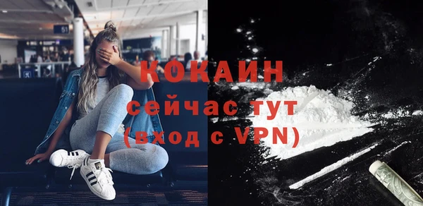 сатива Белоозёрский
