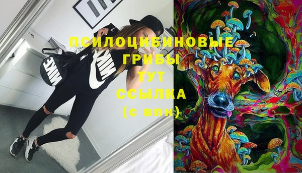 сатива Белоозёрский
