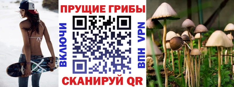 Псилоцибиновые грибы GOLDEN TEACHER  ссылка на мегу зеркало  Первоуральск 